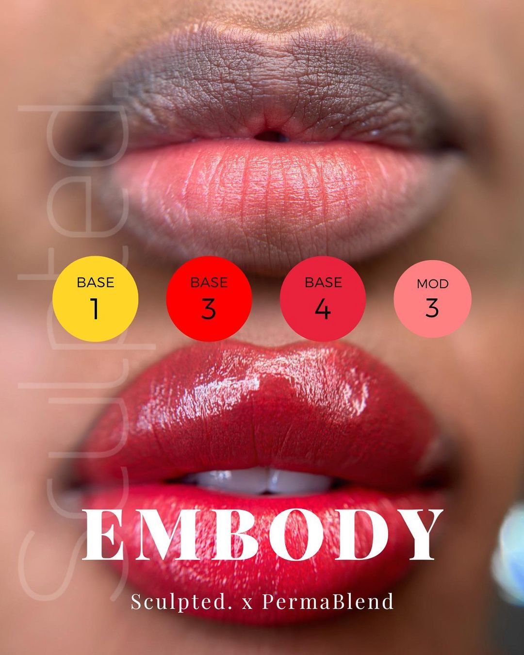 Perma Blend Embody by Carla Riccaiardone 8 x 15 ml